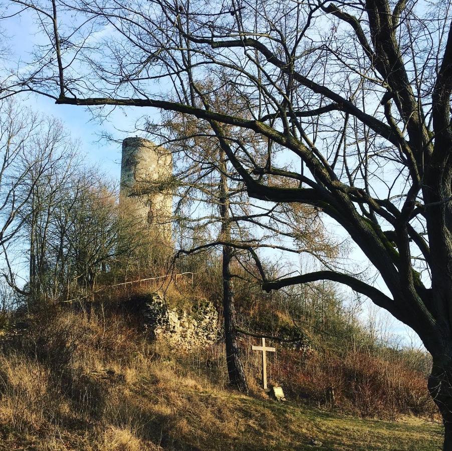 Ferienwohnungen Lausbuben & Zicken - Im Grunen Herzen Deutschlands Herleshausen 外观 照片